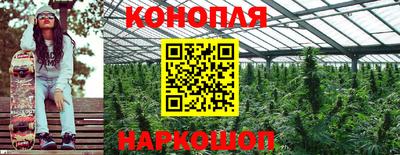 эйфоретик Пенза