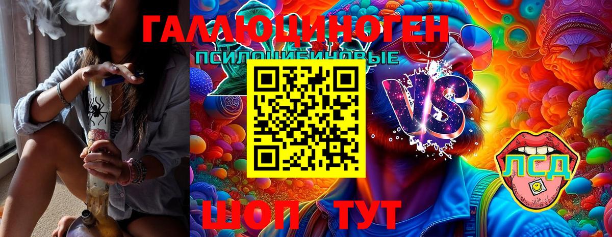 Сосновый Бор  Псилоцибиновые грибы Magic Shrooms  Вход с VPN  что такое наркотик  Галлюциногенные грибы Cubensis 