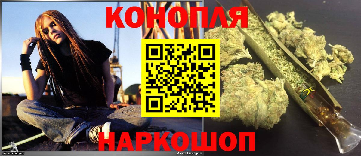 Марихуана OG Kush Сосновый Бор